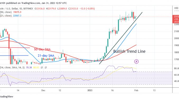 Bitcoin Price Prediction for Today, January 31: BTC Price Declines as It Returns to the $23K Support